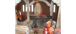 ஜோஷிமட்